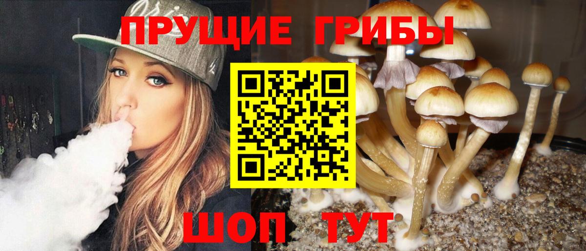 Героин Алексин